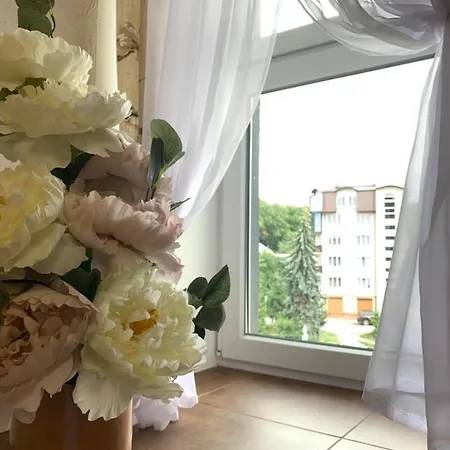 Center Apartment Ternopil Exterior photo